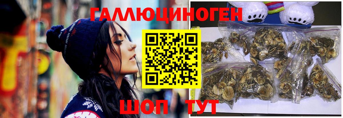 Псилоцибиновые грибы мухоморы Орехово-Зуево