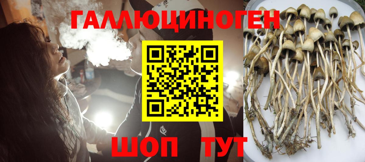 Псилоцибиновые грибы ЛСД  Псилоцибиновые грибы Psilocybine cubensis  Орехово-Зуево  наркота  Вход с VPN 